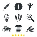 Agricultural icons. Wheat corn or Gluten free. Royalty Free Stock Photo