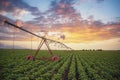 Agricultural irrigation system Royalty Free Stock Photo