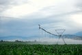 Agricultural irrigation system watering the field on cloudy summer day Royalty Free Stock Photo