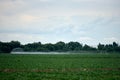 Irrigation system watering corn field on cloudy summer day Royalty Free Stock Photo