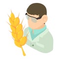 Agricultural laboratory icon isometric vector. Biologist and mature ear of wheat