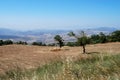 Agricultural land, Andalusia, Spain. Royalty Free Stock Photo