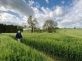 Agricultural land with a crop of barley - Yorkshire - United Kingdom Royalty Free Stock Photo