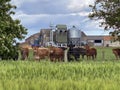 Agricultural land with a crop of barley - Yorkshire - United Kingdom Royalty Free Stock Photo