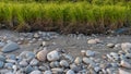 Agricultural land erosion due to flood in the river swat in the Swat valley, Pakistan