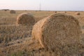 On agricultural land lies a lot of round bales of straw