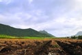 Agricultural Land at Mauritius