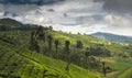 Agricultural land in Nilgiris near Ooty Royalty Free Stock Photo