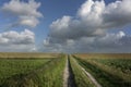 Agricultural land in the province of Groningen