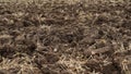 Agricultural Land Recently Plowed and Prepared for the Crop