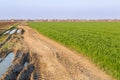 Agricultural landsaple, arable crop field