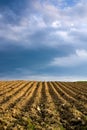 Agricultural landscape