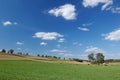 Agricultural Landscape Royalty Free Stock Photo