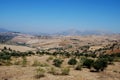 Agricultural landscape, Andalusia, Spain. Royalty Free Stock Photo