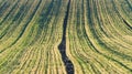 Agricultural landscape, arable crop fields