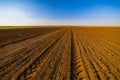 Agricultural landscape, arable crop field.