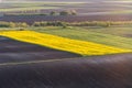 Agricultural landscape, arable crop fields