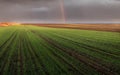 Agricultural landscape, arable crop fields