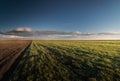 Agricultural landscape, arable crop fields