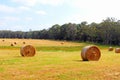 Agricultural haybales landscape, rural Australia Royalty Free Stock Photo