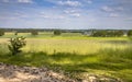 Agricultural landscape Bergherbos