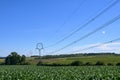 Agricultural landscape and corn field with electric poles and high voltage wires in South Moravia in the Czech Republic. Blue Royalty Free Stock Photo