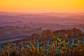 Agricultural landscape of Croatia sunset view Royalty Free Stock Photo