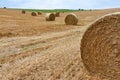 Agricultural landscape with hay rolls