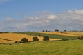 Agricultural landscape in the Howardian Hills, North Yorkshire.