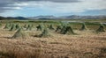 Agricultural landscape near Lake Titicaca, Peru Royalty Free Stock Photo