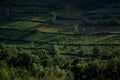 Example of organic agriculture in Poienile Izei, Maramures County. Royalty Free Stock Photo