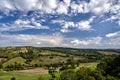 Agricultural landscape with olive and vine plantations and the towers of the city on the hill in Tuscany Royalty Free Stock Photo