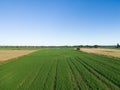 Agricultural landscape on the outskirts of the city of Zaragoza