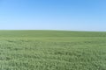 Agricultural landscape in Podolia region of Ukraine Royalty Free Stock Photo