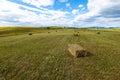 Agricultural landscape, square  hay bales in rows  on green pasture Royalty Free Stock Photo