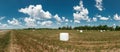 Agricultural landscape with straw packages on field. Cereal bale of hay wrapped in plastic white foil. Hay harvesting, grass