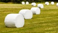 Bale of hay wrapped in plastic foil Royalty Free Stock Photo