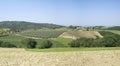 Agricultural landscape in Tuscany Royalty Free Stock Photo