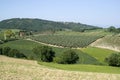 Agricultural landscape in Tuscany Royalty Free Stock Photo