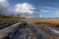 Muddy and frozen potatofield