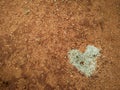 Agricultural love. Eco bio poop love heart on the red african soil