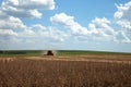 Agricultural machine harvesting soybean field. Royalty Free Stock Photo