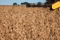 Agricultural machine harvesting soybean field. Royalty Free Stock Photo