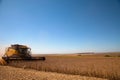 Agricultural machine harvesting soybean field. Royalty Free Stock Photo
