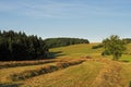 Agricultural machine during work on a small foothill meadow