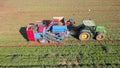 Agricultural machinery. Carrot harvesting using mechanized harvesting equipment. Large carrot field.