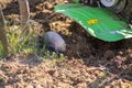 Small green plowing machine in hands of a farmer, tillage equipment, agricultural machine, agriculture, making arable in soil