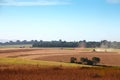 Agricultural machinery harvesting soybeans. Royalty Free Stock Photo