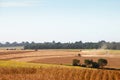 Agricultural machinery harvesting soybeans. Royalty Free Stock Photo