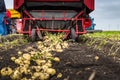 Yekaterinburg, RUSSIA - August 23, 2018: Agricultural machinery in a potato field Royalty Free Stock Photo